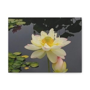 Lotus Blossom Matte Canvas Wall Art — Serene Stretched 1.25"