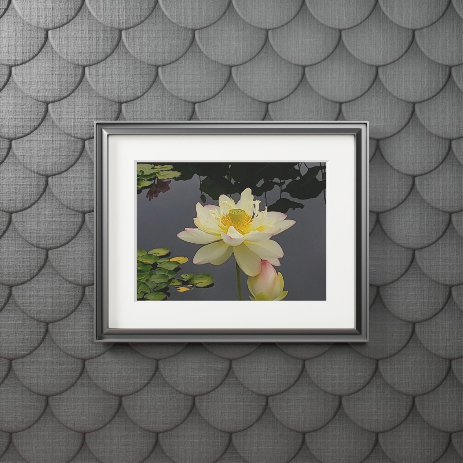 Waterlily – Fine Art Print with Passepartout Mat - view 3