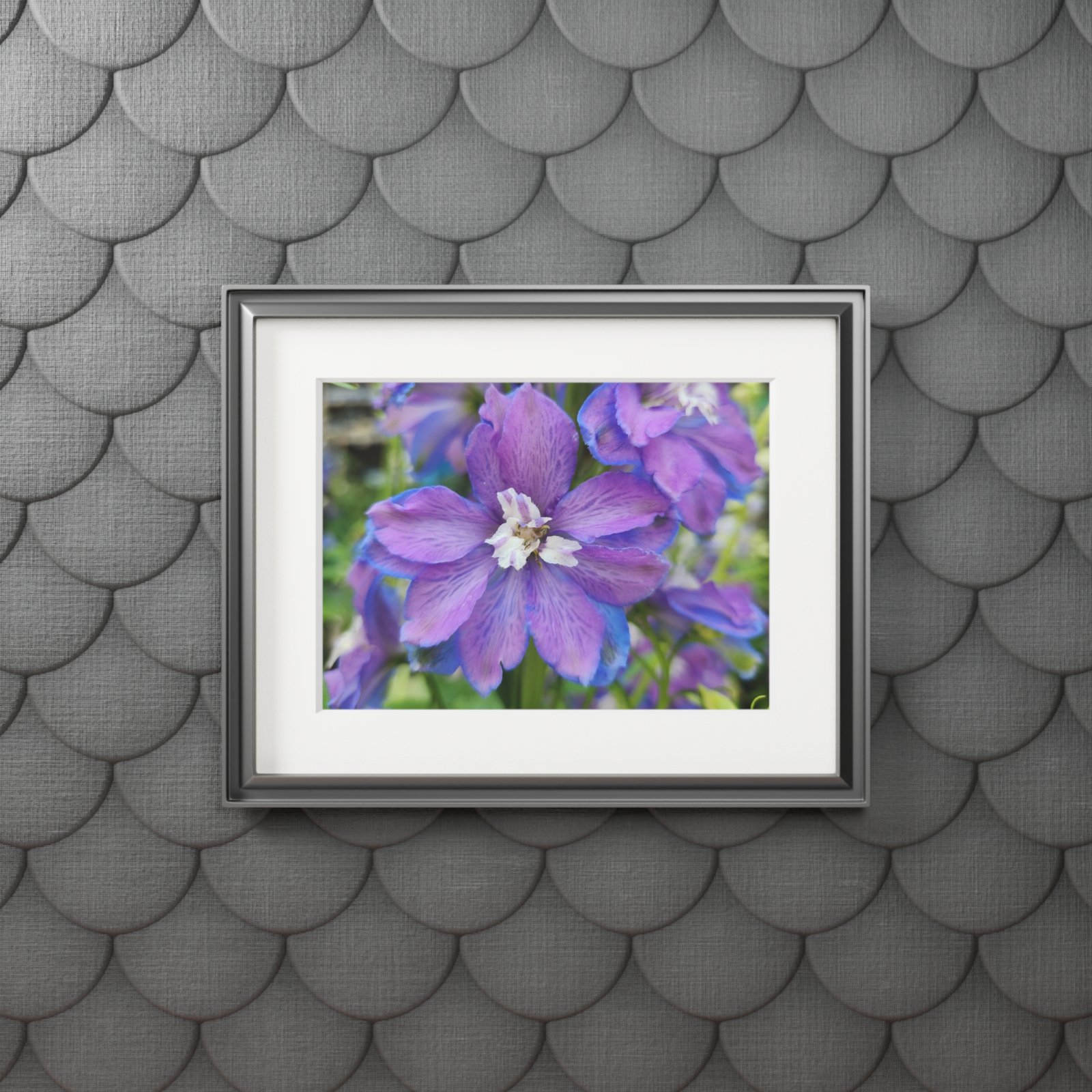 Delphinium- Fine Art Print with Passepartout Mat - view 3