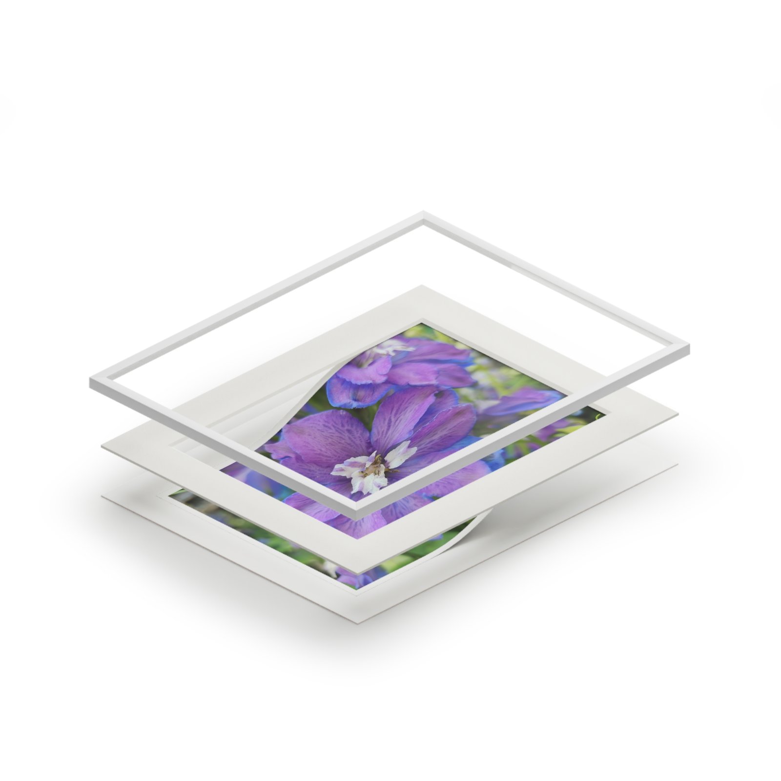 Delphinium- Fine Art Print with Passepartout Mat - view 2